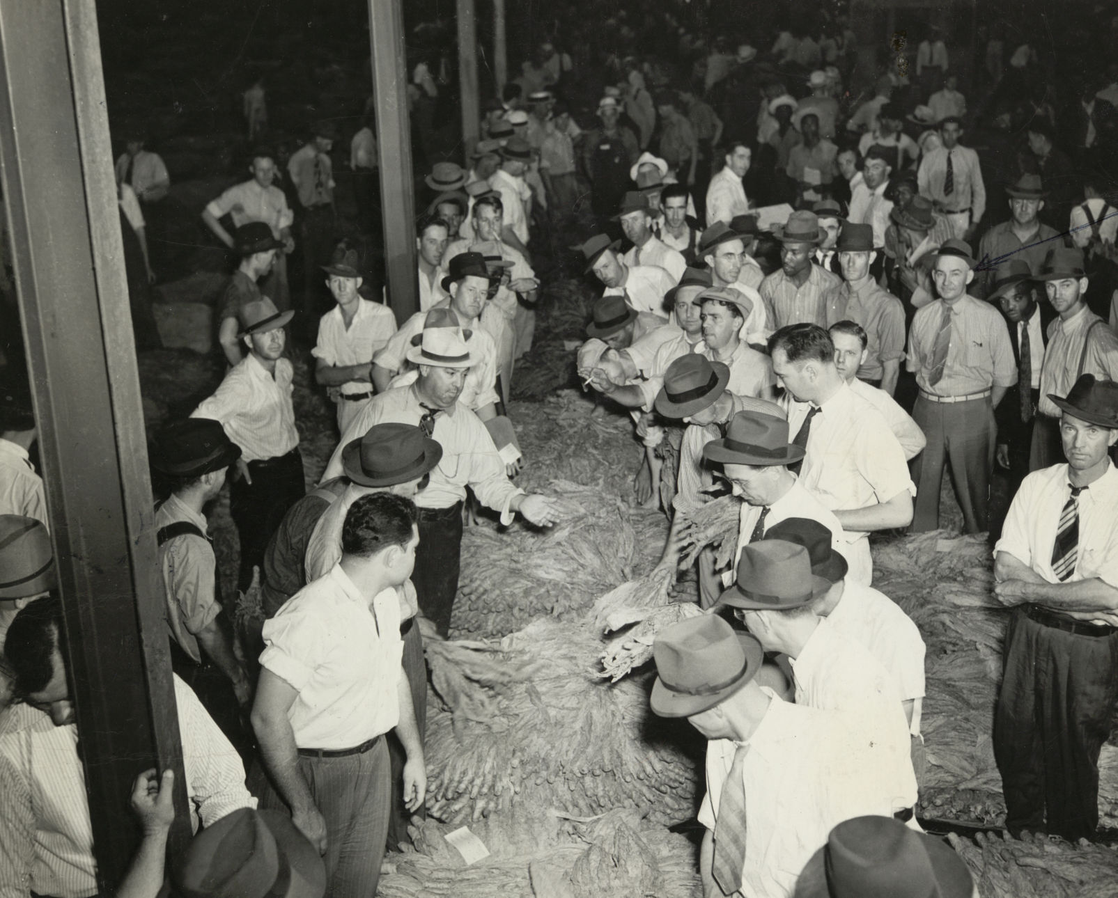 Tobacco auction